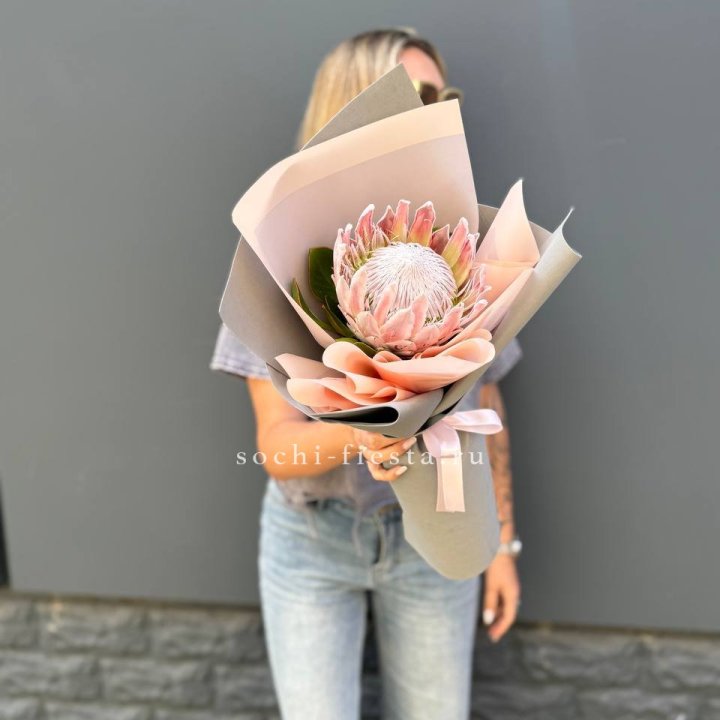 Протея мини  в Сыктывкаре