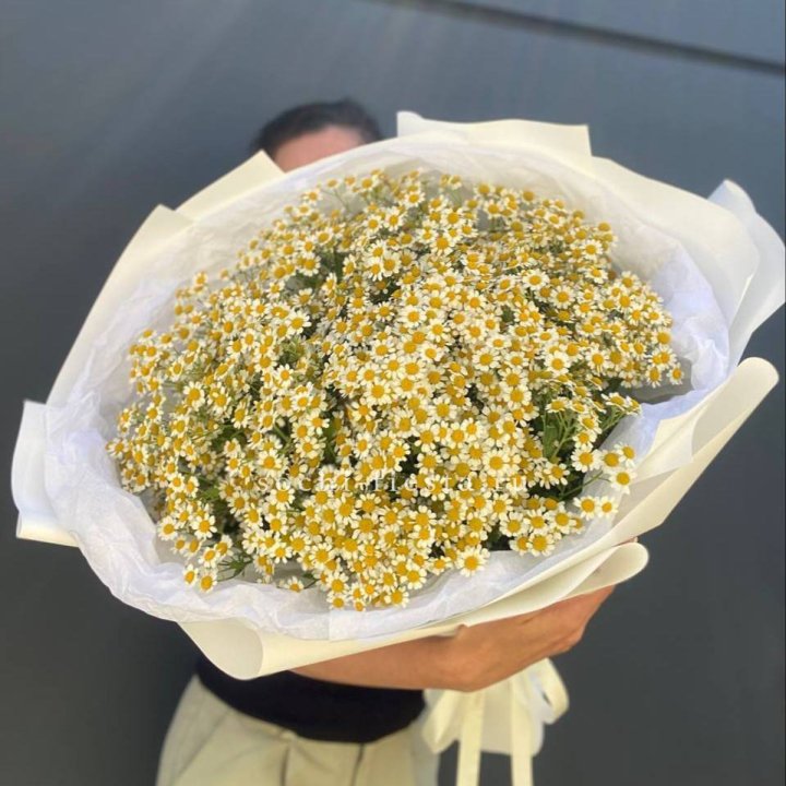 Букет ромашек №2 в Сыктывкаре