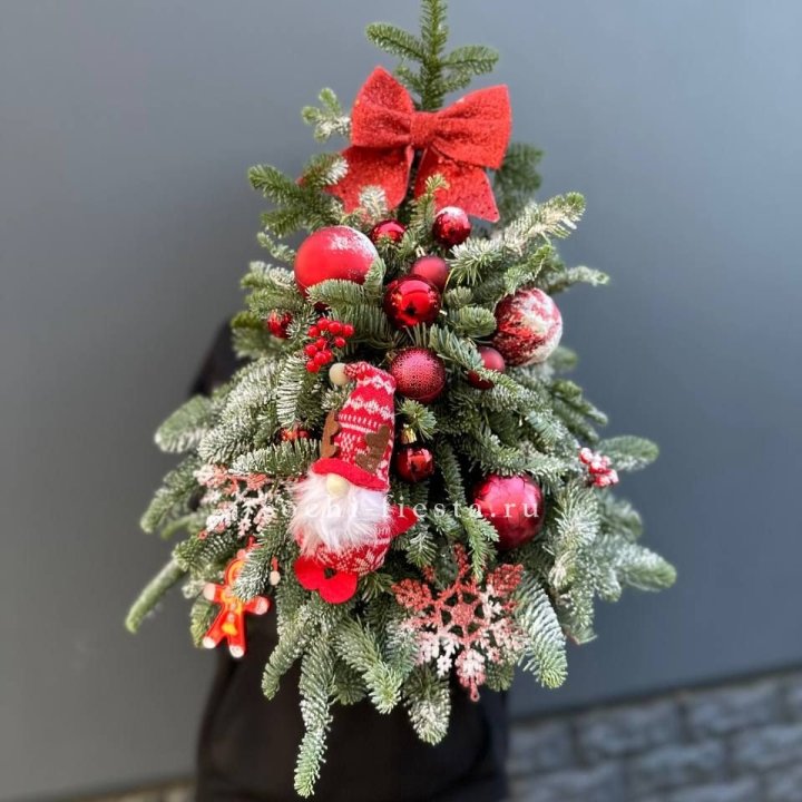 Новогодняя елочка "Ред" в Сыктывкаре