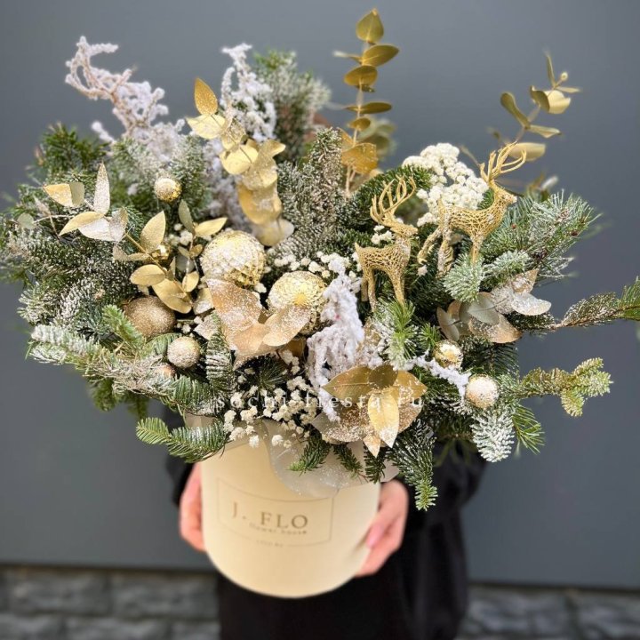 Золотой бокс с нобилисом в Сыктывкаре