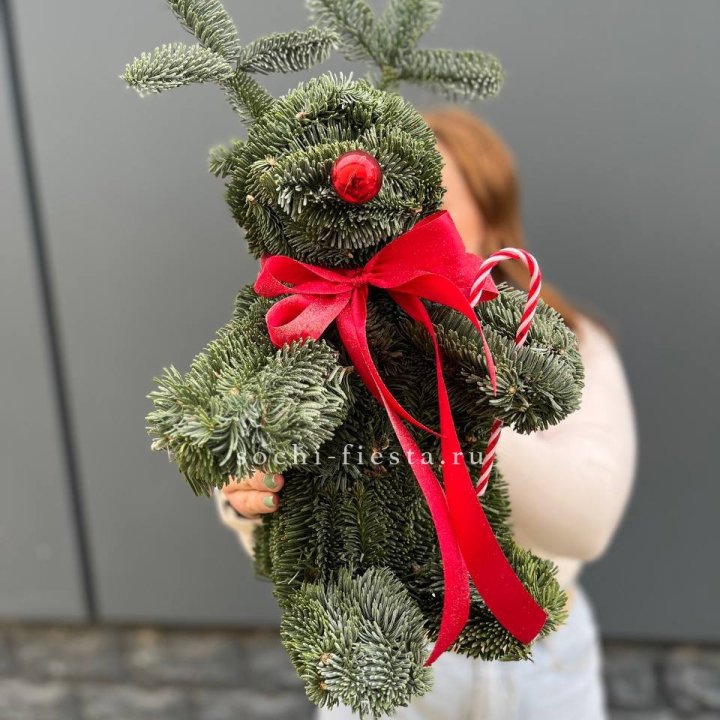 "Олень" из нобилиса в Сыктывкаре