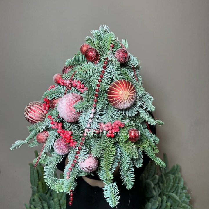 Ёлка красная в Сыктывкаре