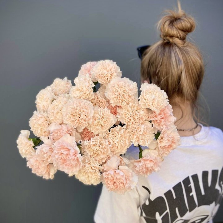 Охапка диантусов  в Сыктывкаре