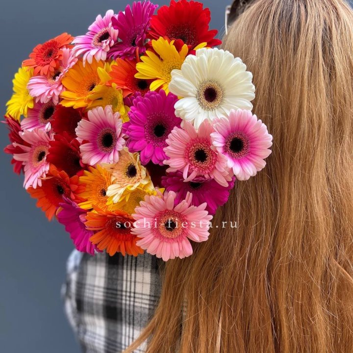 Охапка гербер  в Сыктывкаре