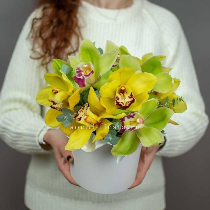 Бокс с орхидей №1 в Сыктывкаре