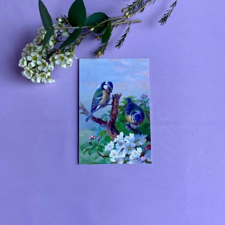 Открытка к букету "Птицы" в Сыктывкаре