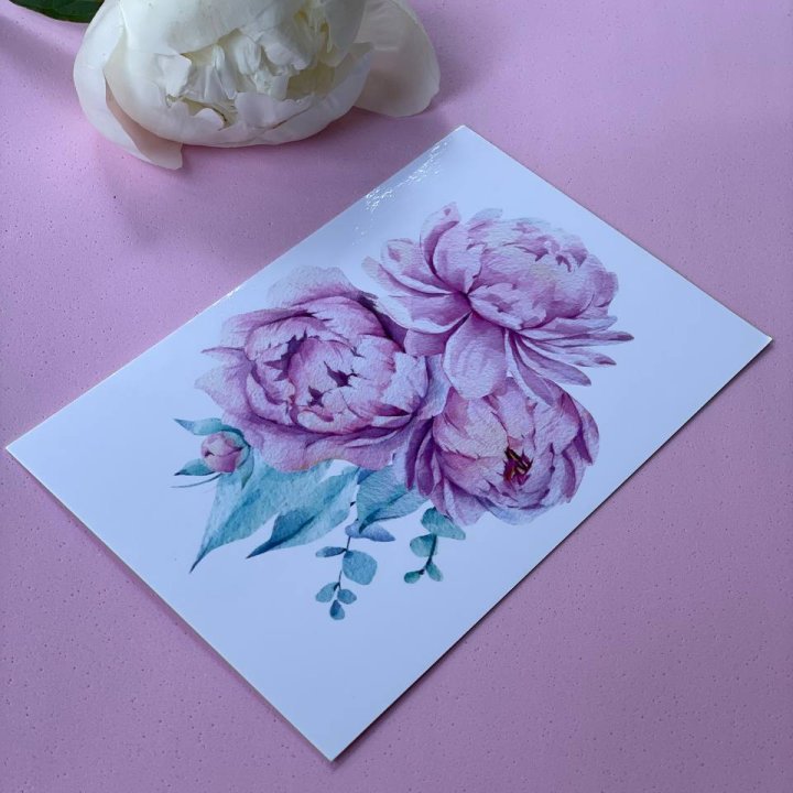 Открытка к букету "Пионы" в Сыктывкаре