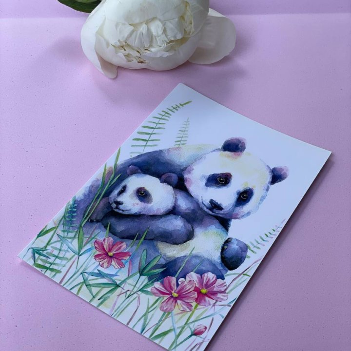 Открытка к букету "Объятие Панды" в Сыктывкаре