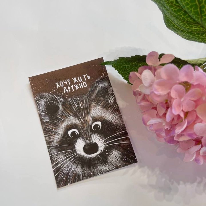 Открытка к букету "Енотик" в Сыктывкаре