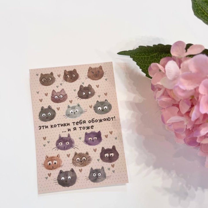 Открытка к букету "Котики" в Сыктывкаре