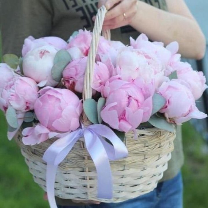 15 пионов в корзине в Сыктывкаре