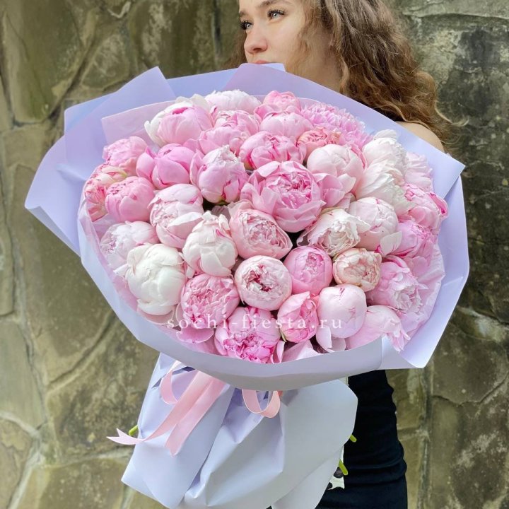 39 нежных пионов в Сыктывкаре