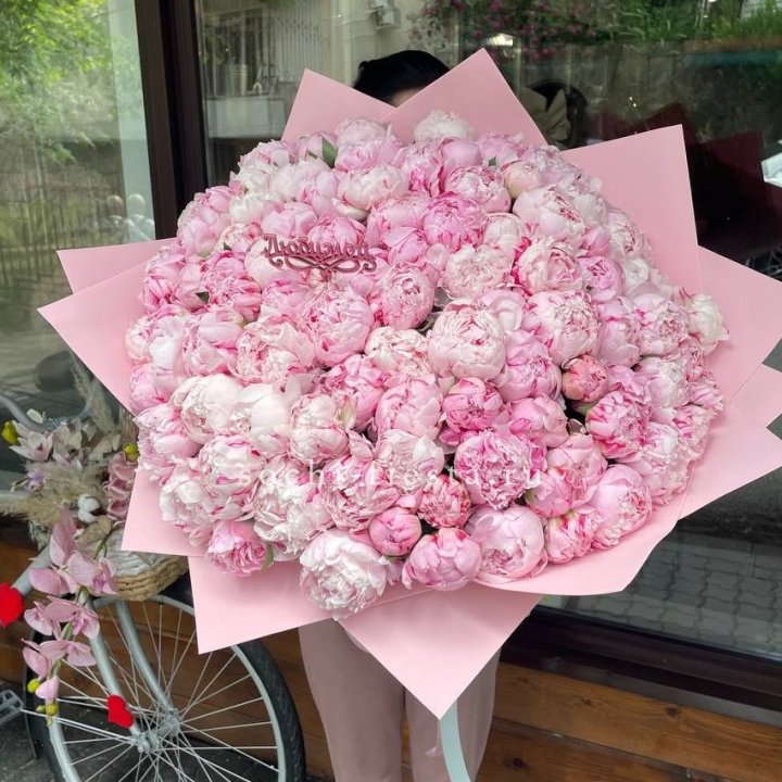 101 зефирный пион в Сыктывкаре