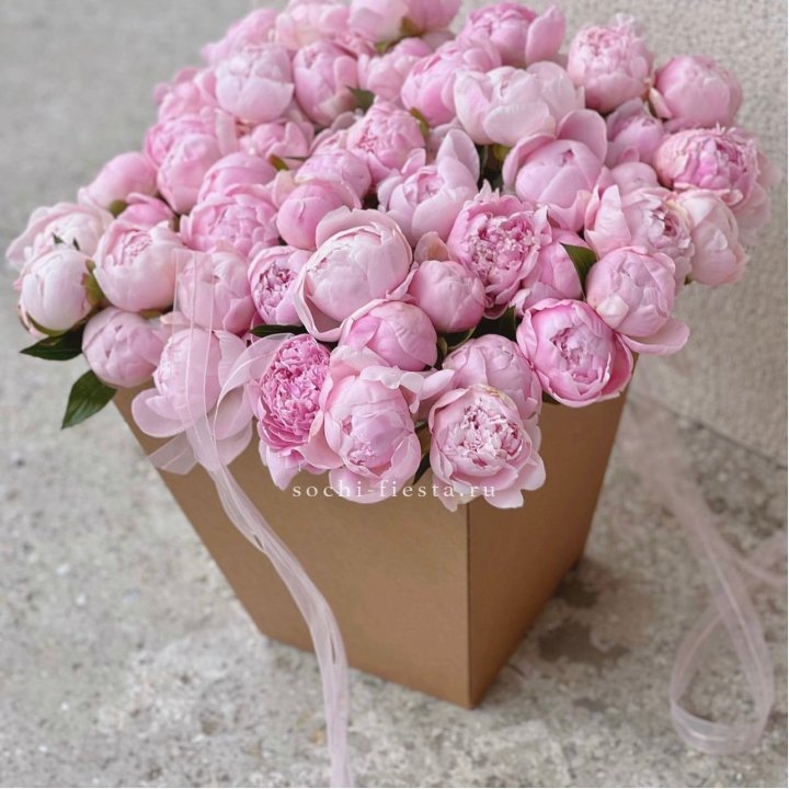 49 пионов в крафт коробке в Сыктывкаре