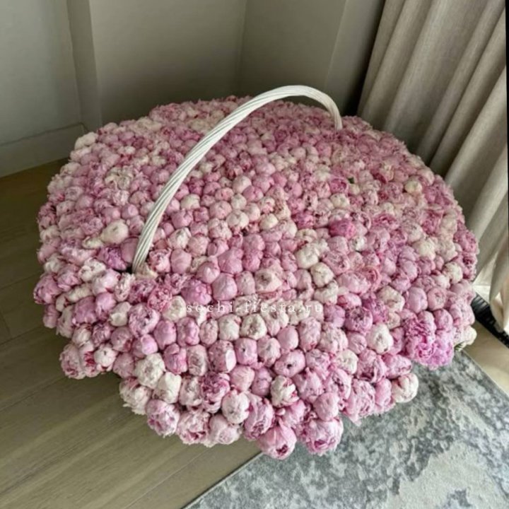 Корзина 555 пионов в Сыктывкаре