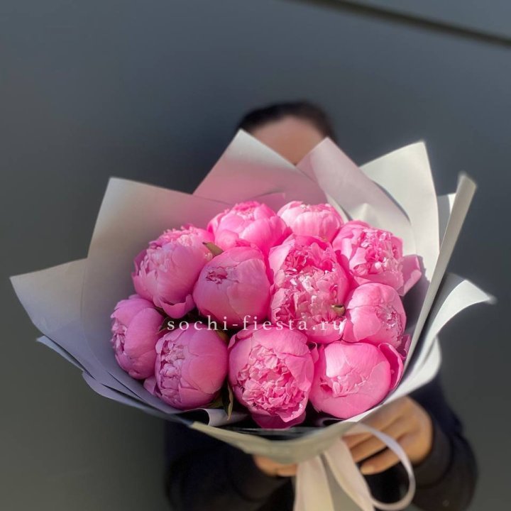 Пионы Алекс флеминг в Сыктывкаре