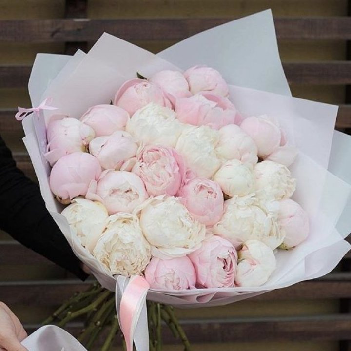 29 пионов в Сыктывкаре