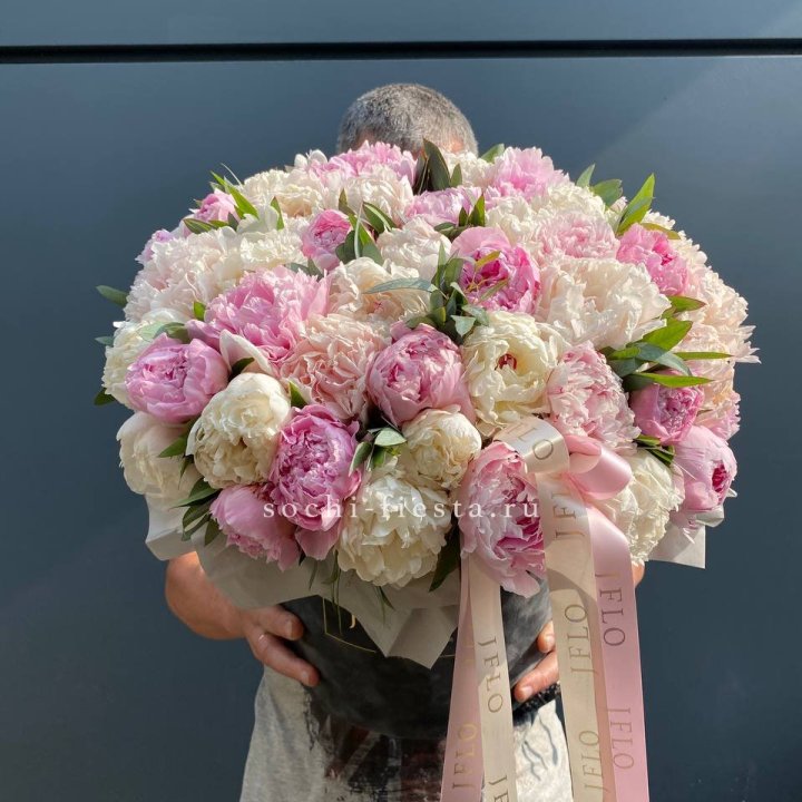 51 пионов в боксе в Сыктывкаре