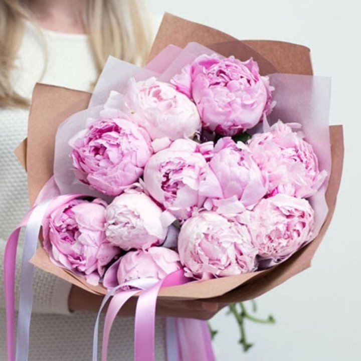 11 нежных пионов в Сыктывкаре