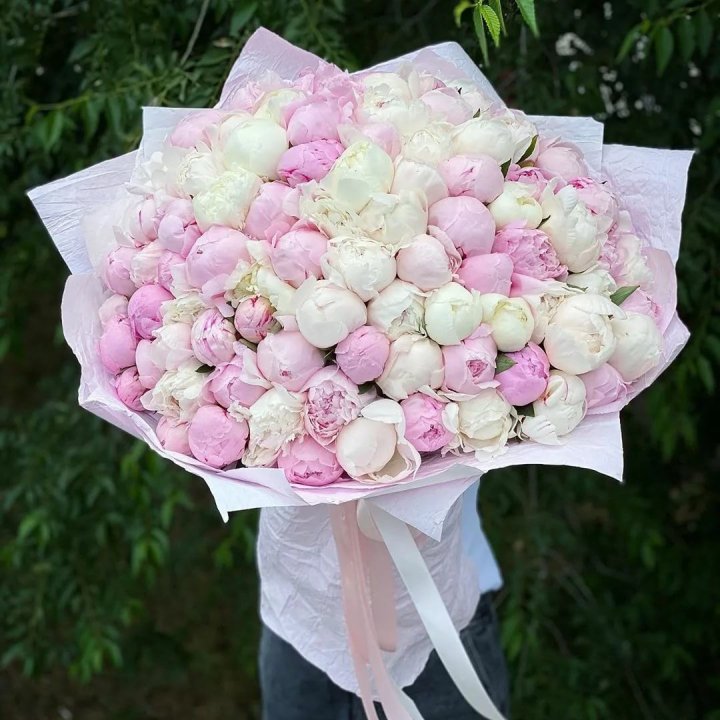 101 пион в Сыктывкаре