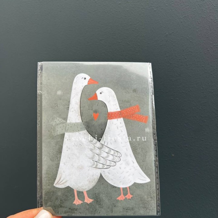 Открытка к букету "Гуси” в Сыктывкаре