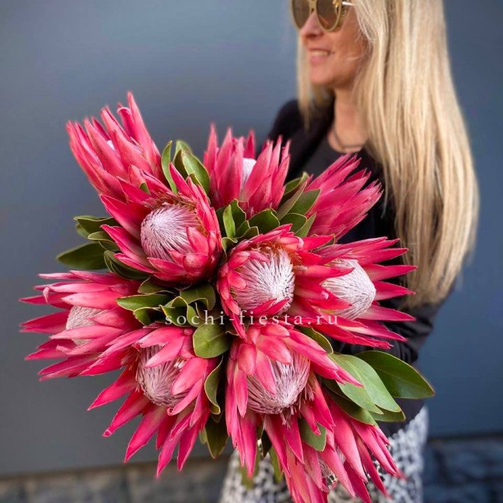 Протея штучно в Сыктывкаре