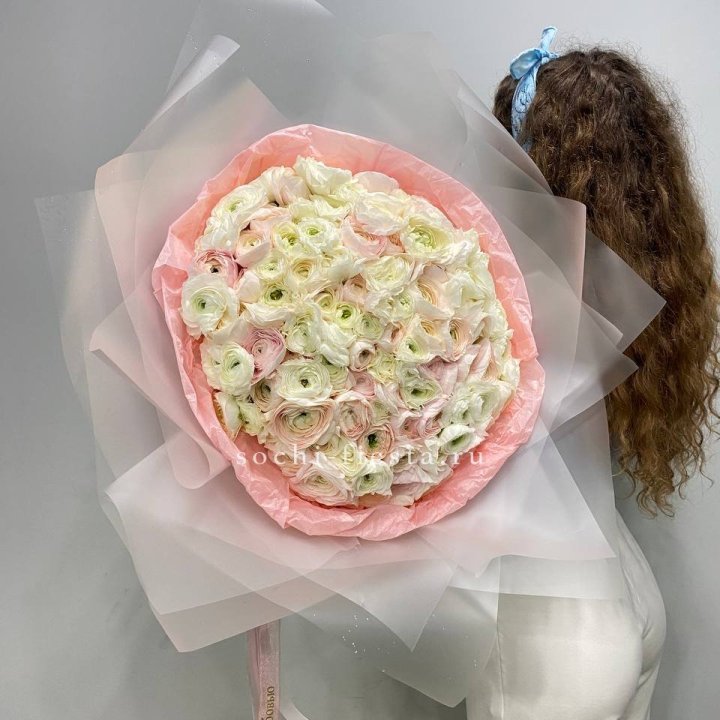 113 ранункулюсов  в Сыктывкаре