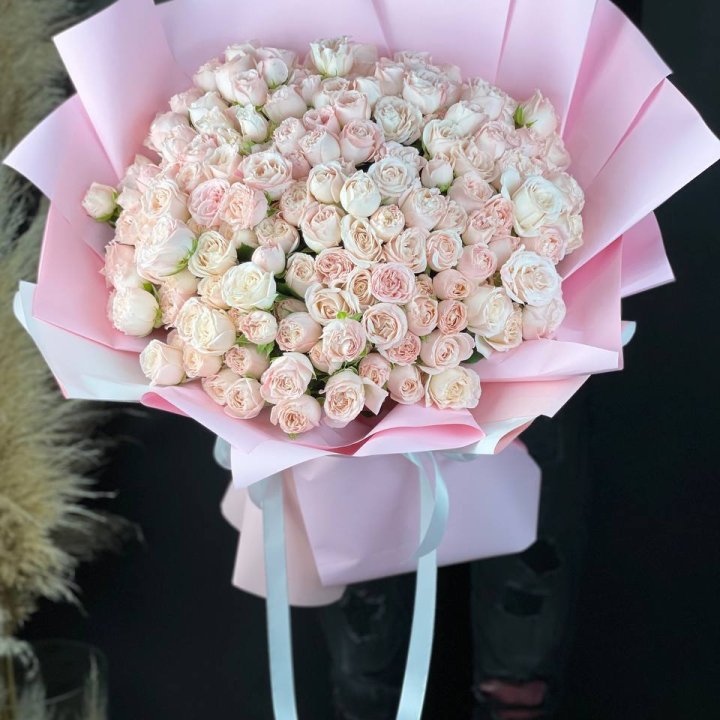 51 бомбастик  в Сыктывкаре