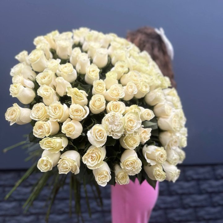 101 белая высокая импортная роза под ленту в Сыктывкаре