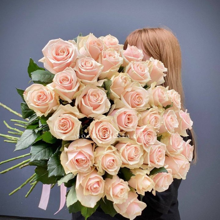 35 кремовых высоких роз в Сыктывкаре