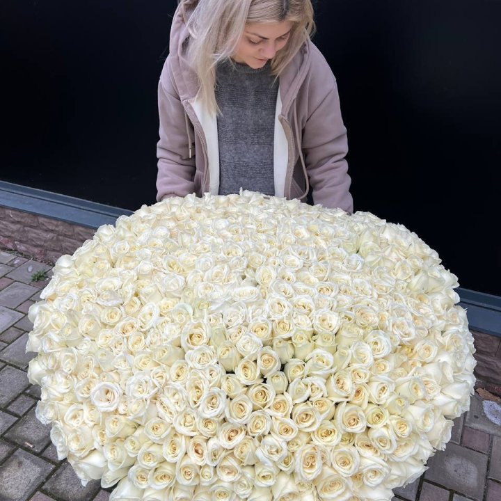 501 белая роза в корзине в Сыктывкаре