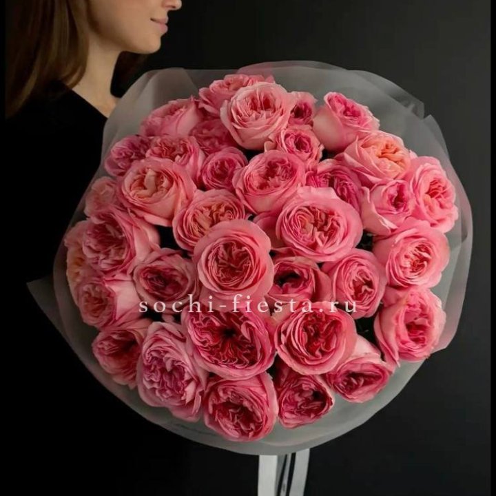 39 Пинк экспрешен  в Сыктывкаре