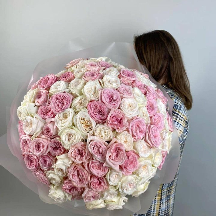 101 роз Охара в Сыктывкаре