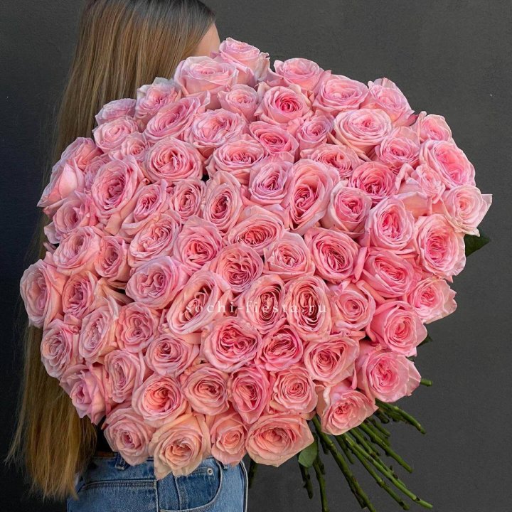 75 роз Охара в Сыктывкаре