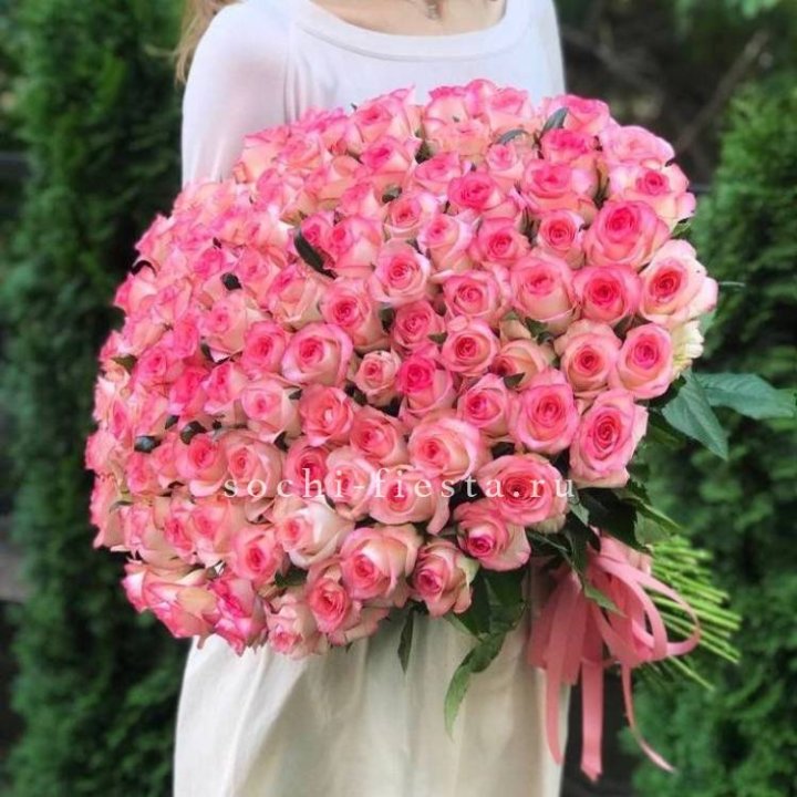 101  джумилия роза  в Сыктывкаре