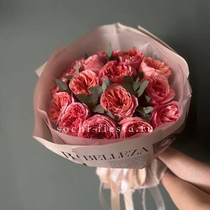 15 Пинк экспрешен в Сыктывкаре