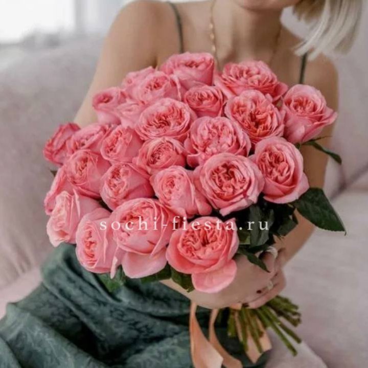 25 Пинк экспрешен  в Сыктывкаре