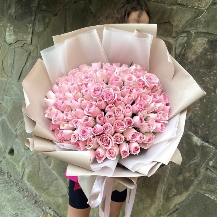 101 нежно-розовая роза Каролина  в Сыктывкаре