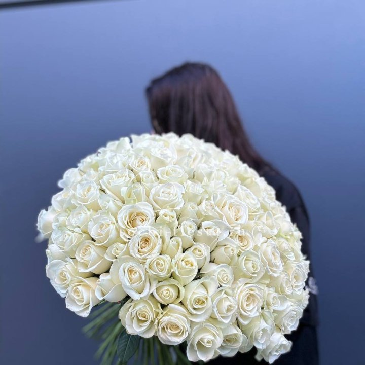 Охапка из 101 белой розы  в Сыктывкаре
