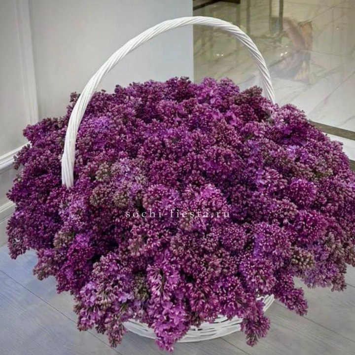 Корзина сирени в Сыктывкаре