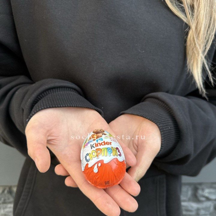 Яйцо "Киндер Сюрприз" в Сыктывкаре