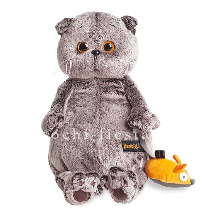 Кот Басик с мышкой в Сыктывкаре