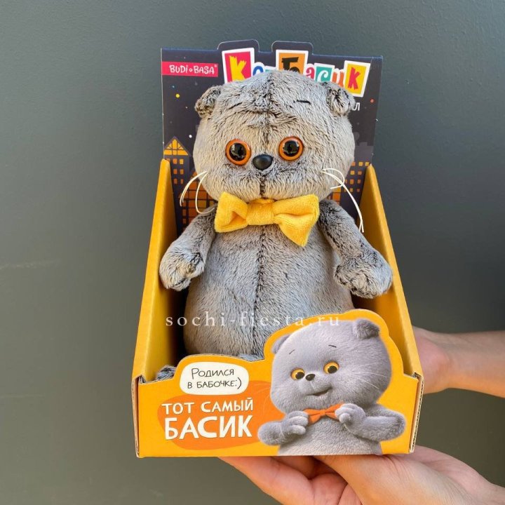 Кот Басик с бабочкой в Сыктывкаре