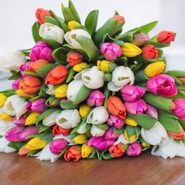 79 тюльпанов "Рандом" в Сыктывкаре