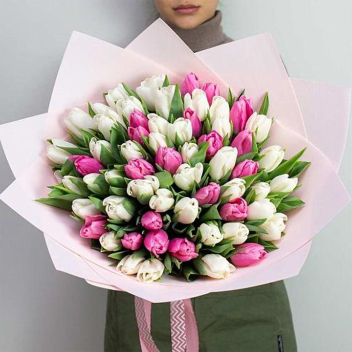 61 бело-розовый тюльпан в Сыктывкаре