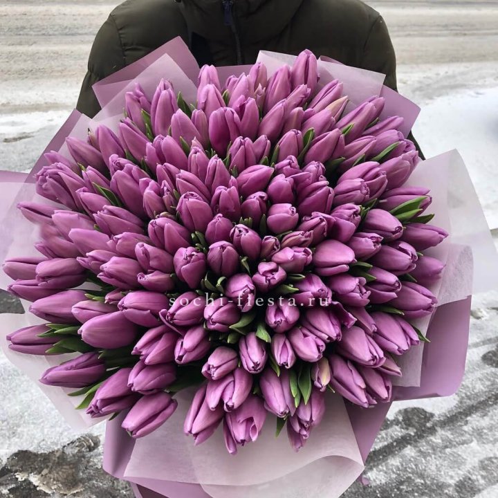 101 сиреневый тюльпан в Сыктывкаре