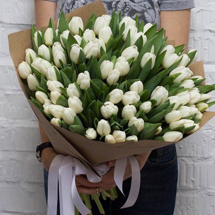 101 тюльпан сноу в Сыктывкаре