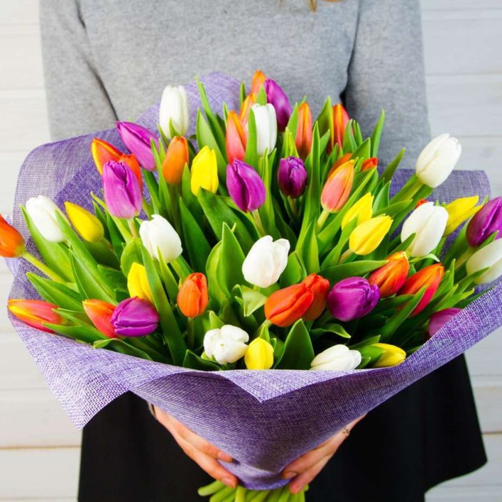 51 тюльпан "Рандом" №2 в Сыктывкаре