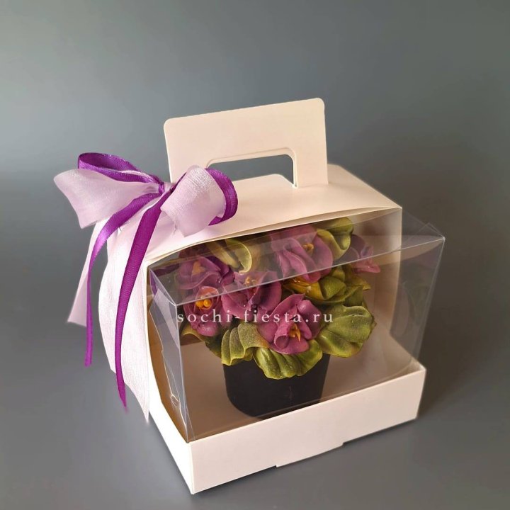  Зефир "Фиалка" в Сыктывкаре